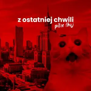 Alert RCB dla województwa śląskiego: gwałtowne burze, wichury i grad z 23 na 24 czerwca. Jest ostrzeżenie IMGW. Czeka nas trudna noc