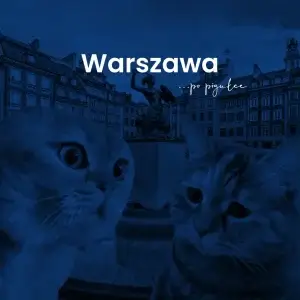 Płomienie pożarły blok pod Warszawą – prokuratura ujawnia zaskakujący krok